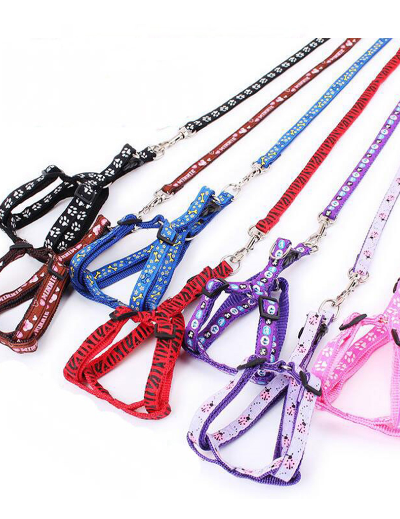Patterned Nylon Lead with Harness